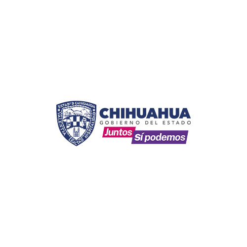 8_Chihuahua